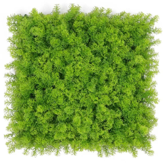 Moss coral light green, dílec 50 x 50 cm