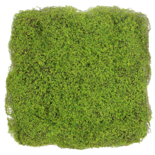 Fine moss light green, dílec 50 x 50 cm