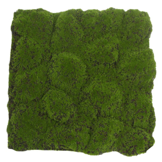 Globe moss green/brown , dílec 50 x 50 cm