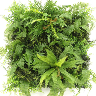 MINI WALL GREEN bush fern , dílec 50 x 50 cm