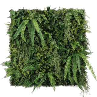 WALL GREEN Boston fern botanica, dílec 100 x 100 cm