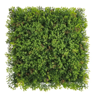 MINI WALL GREEN Sedum, dílec 50 x 50 cm