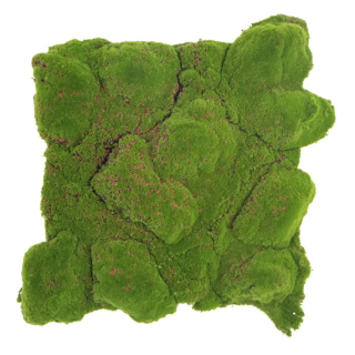 Ball moss varia, dílec 50 x 50 cm