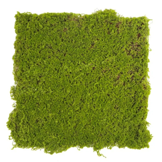 Moss gray crooked, dílec 50 x 50 cm