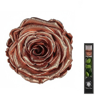 Dárková stabilizovaná růže MINI - METALLIC - měďěná