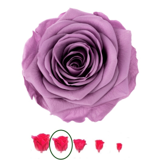 Hlavy růží - premium 4 ks