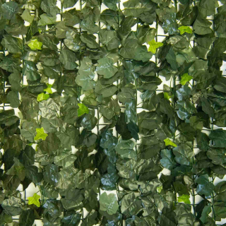 HEDERA ACER, rozměr role - 1,5x3,0 m